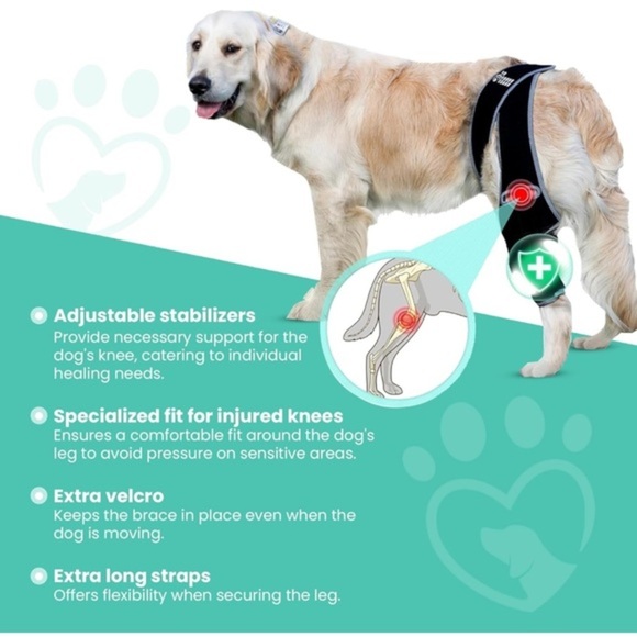Dog Knee Brace for Torn ACL - Hind Leg‎ Support for Medium Breeds - Picture 7 of 8